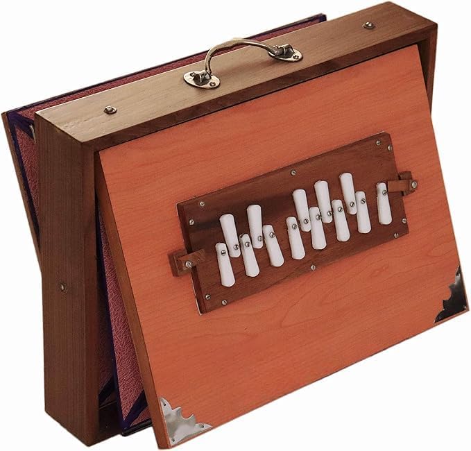 16" Shruti Box Ply Wood, Musical Instrument Carry Bag