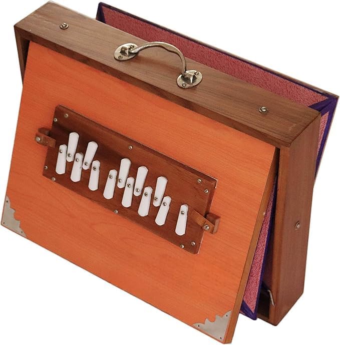 16" Shruti Box Ply Wood, Musical Instrument Carry Bag