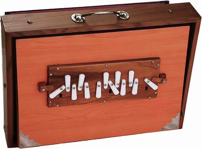 16" Shruti Box Ply Wood, Musical Instrument Carry Bag